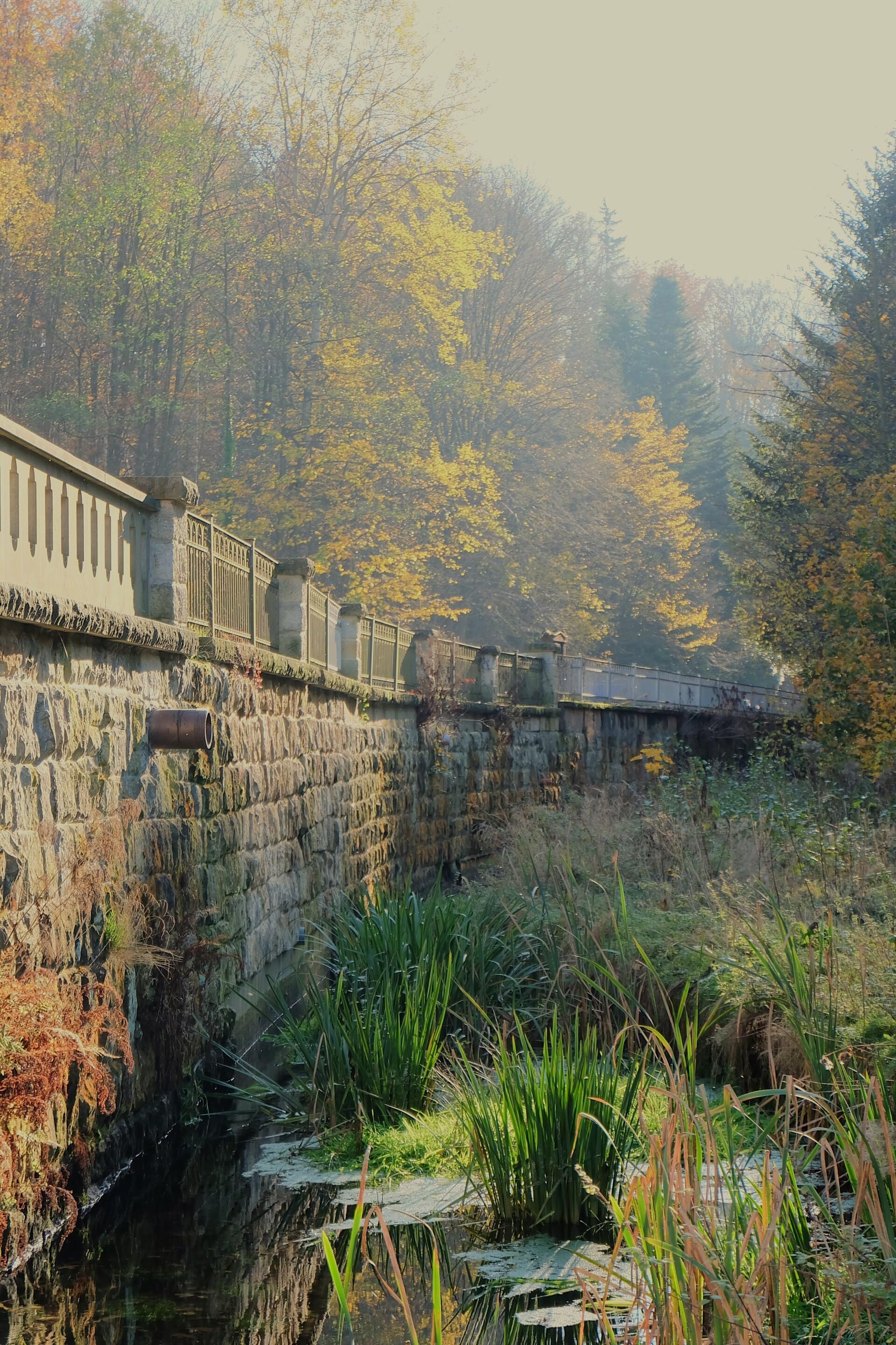 Grundstück der Neidbergmühle